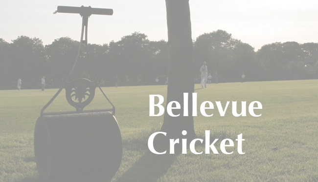 Bellevue Cricket